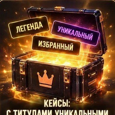 КЕЙС С ТИТУЛОМ (УНИК)